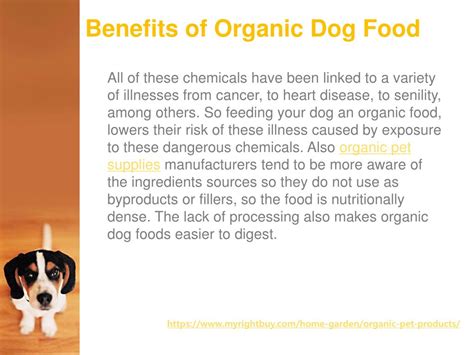 PPT - Benefits of Organic Pet Supplies and Organic Dog Food PowerPoint ...