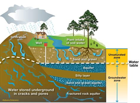 Water Table Aquifer Diagram