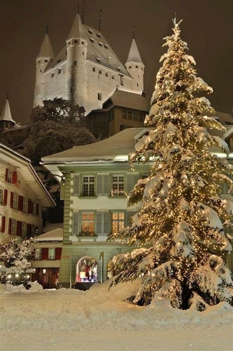 a large christmas tree is in front of some buildings with snow on the ...