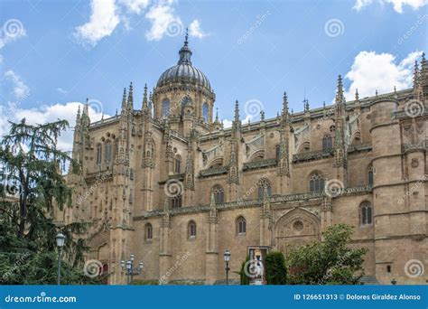 New Cathedral of Salamanca, Spain, Editorial Stock Photo - Image of ...