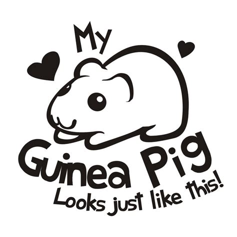 Guinea Pig MEME blank by Kna on DeviantArt