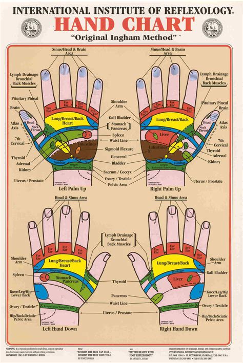 Hand Chart ~ Original Ingham Method of Reflexology [Wall Chart]: Eunice ...