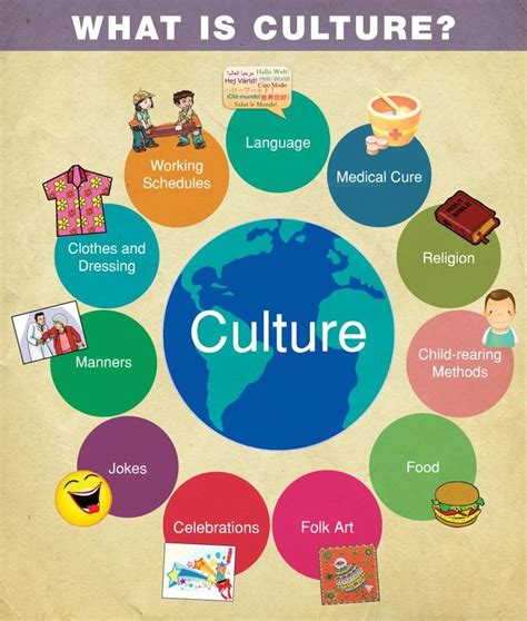 What is culture? Diagram | Quizlet