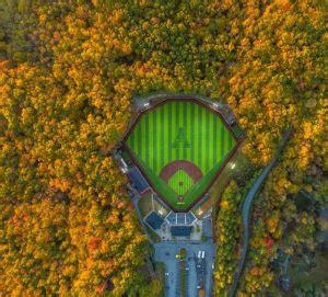 Ultimate AstroTurf Fan Favorite Division I baseball field named - SFMA