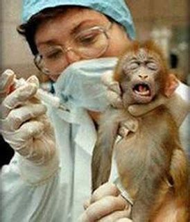 Animal testing facts