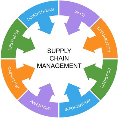 Green Supply Chain Management: Strategies for Success - Udemy Blog