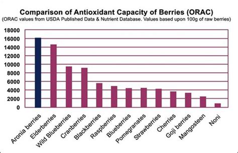 Health Benefits Aronia Berries, Aronia Berry Services of Northeast Iowa