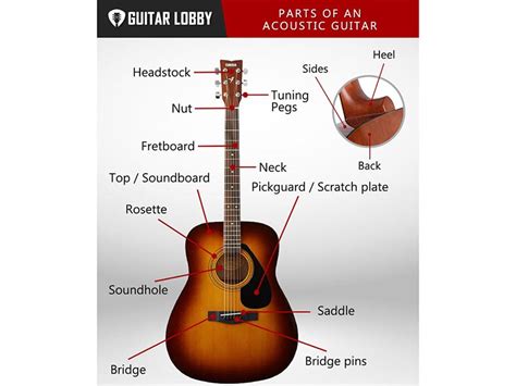 Parts of an Acoustic Guitar (with Diagram & Video) 2024 - Guitar Lobby