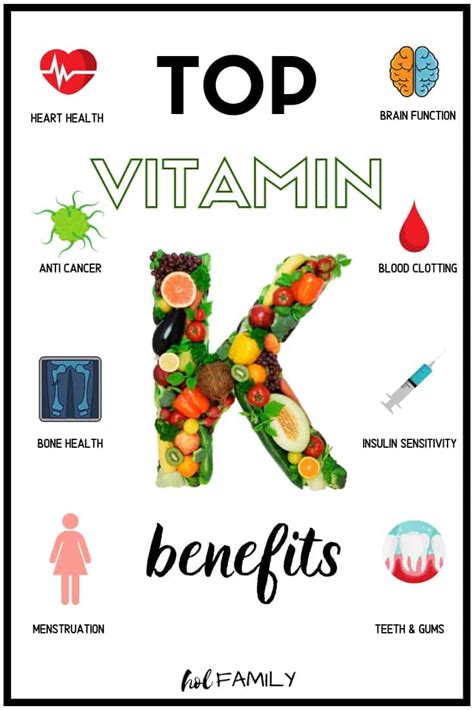 Vitamin K2: The Necessary Nutrient For Longevity | hol FAMILY