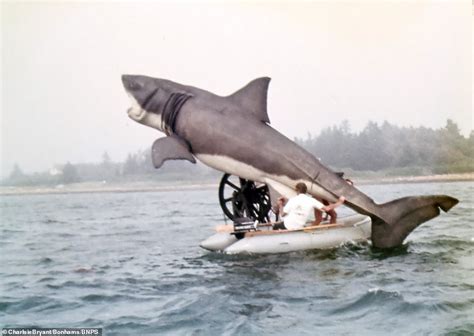 You're NOT gonna need a bigger boat! Unseen behind-the-scenes photos ...