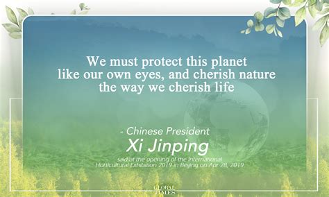 Quotes from Chinese President Xi Jinping on environmental protection ...