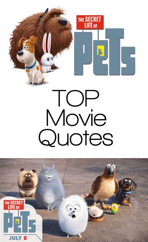 The Secret Life of Pets Quotes - TOP Movie Quotes! - Enza's Bargains