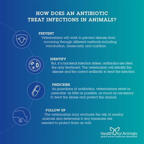 Antibiotics - HealthforAnimals