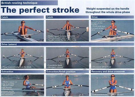 A word champion rower guides you through the perfect stroke. Perfect ...