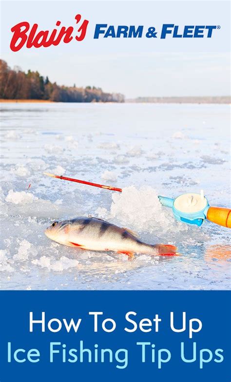 How to Set Up Ice Fishing Tip Ups | Blain's Farm & Fleet Blog | Ice ...