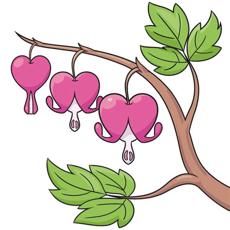 How to Draw a Bleeding Heart Flower - Really Easy Drawing Tutorial