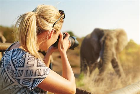 Best camera for wildlife photography - Lens & Shutter