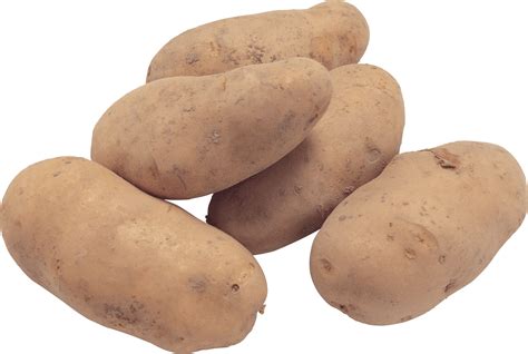 Potato Png Images Pictures Download Transparent HQ PNG Download ...