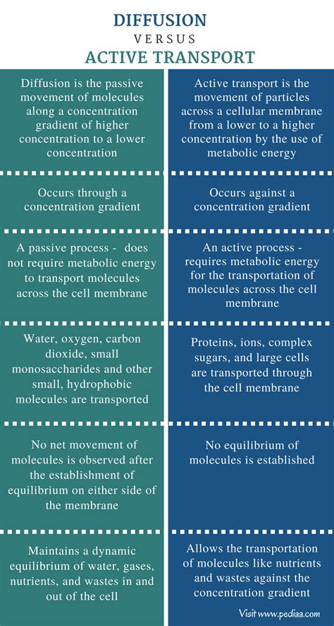 Difference Between Diffusion and Active Transport | Definition, Types ...