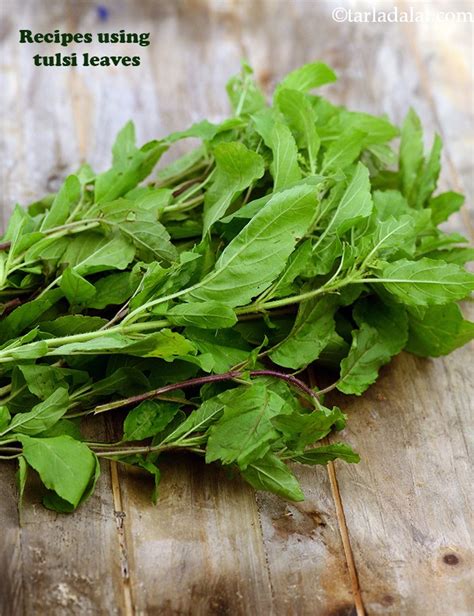 42 tulsi leaves recipes | Indian Holy Basil recipes