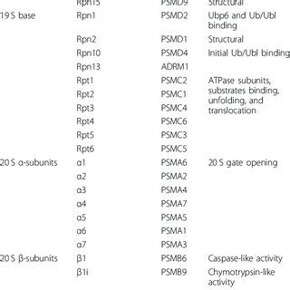 Proteasome subunits names and function. | Download Scientific Diagram