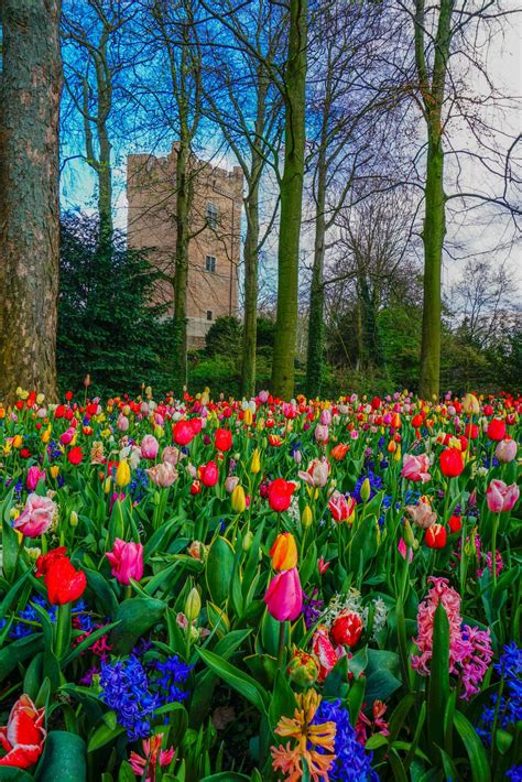 Groot Bijgaarden Castle tulip festival - photo diary - IngridZenMoments ...