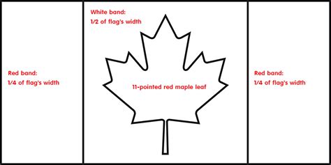 Image result for dimensions of maple leaf on canadian flag Woodworking ...