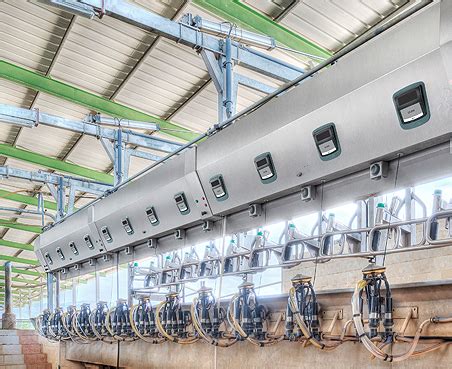 Dairy Farm Milking Automation Equipment for Efficient Milking and ...