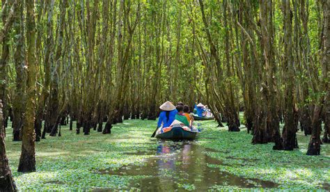 Mekong River Delta - A vast labyrinth of rivers | Mundo Asia