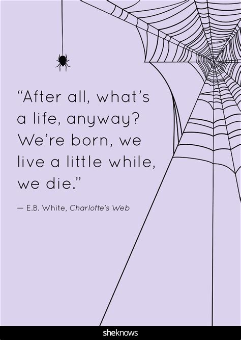 These Charlotte's Web Quotes About Life & Friendship Are Everything