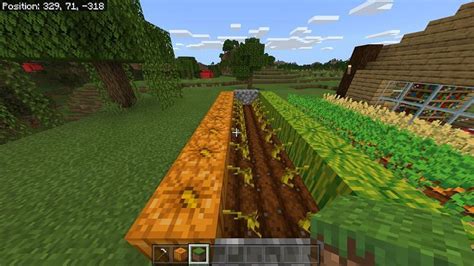 How to Grow Pumpkins in Minecraft: 7 easy Steps