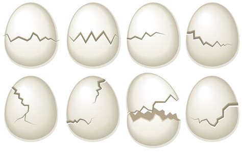 Vector Set Of Broken Egg Shells 169514 Vector Art at Vecteezy