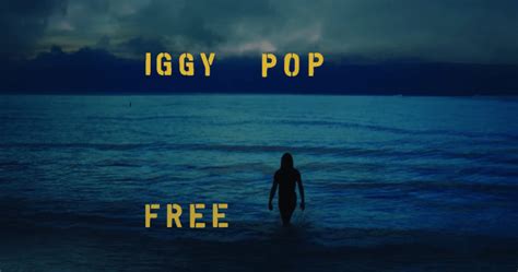 Iggy Pop Announces Forthcoming Studio Album 'Free', Shares Title Track ...