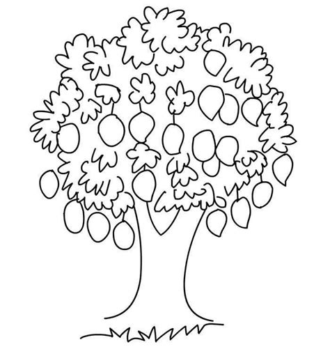 Albero da frutta | Alberi da frutto, Disegni di alberi, Albero di limoni