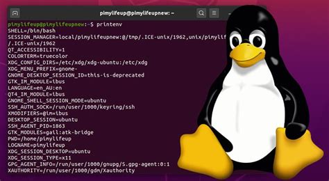 How to Set, List, and Use Environment Variables on Linux - Pi My Life Up