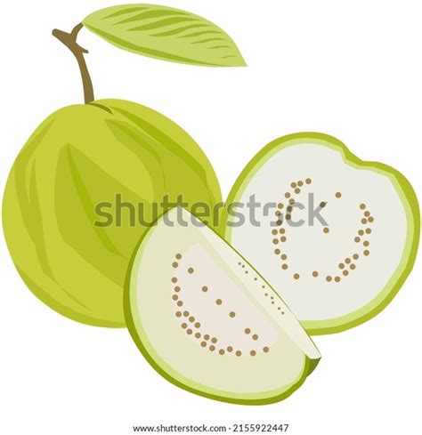 8 Jambu Bangkok Images, Stock Photos & Vectors | Shutterstock