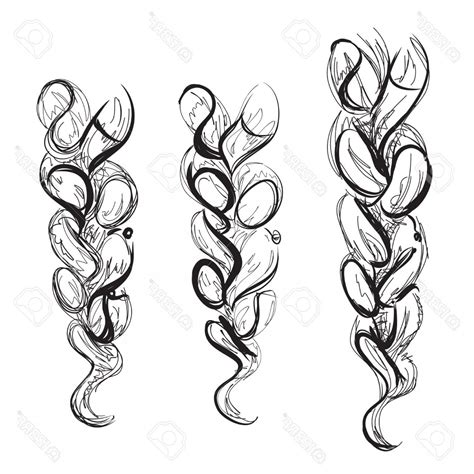 Braid Vector at Vectorified.com | Collection of Braid Vector free for ...