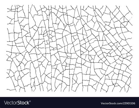 Natural cracked texture pattern isolated on white Vector Image