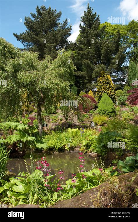 Fletcher Moss Botanical Garden,Fletcher Moss Park,Didsbury,Manchester ...