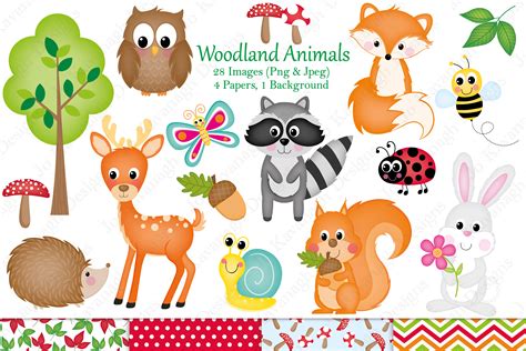 Woodland clipart, Woodland animal graphics & Illustrations