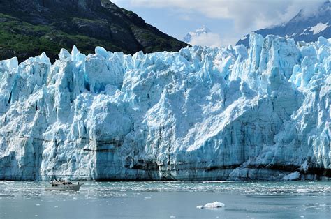 Glacier Bay National Park and Preserve | Alaska, USA, Wildlife ...