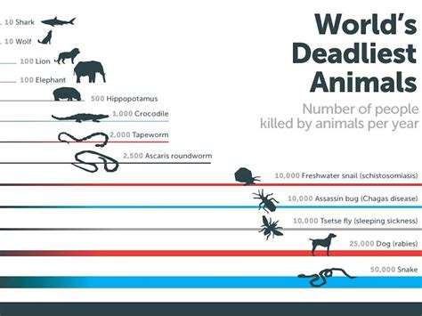 Bill Gates Mind-Blowing Infographic Mosquitoes - Business Insider