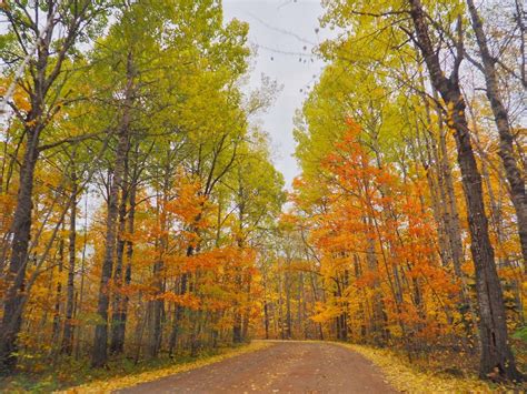 The 7 Best Places to See Fall Colors in Minnesota – HammockLiving