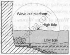 Draw a neat and labelled diagram for: Wave-cut platform - Geography ...