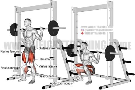 Smith machine squat instructions and video | Weight Training Guide