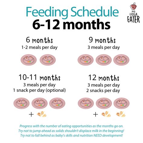 Feeding Schedules (6-12 months) - My Little Eater