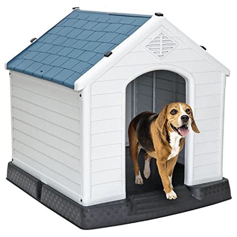 The 10 Best Insulated Dog House Reviews & Comparison – Glory Cycles