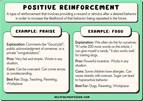 21 Positive Reinforcement Examples that Work! (2024)