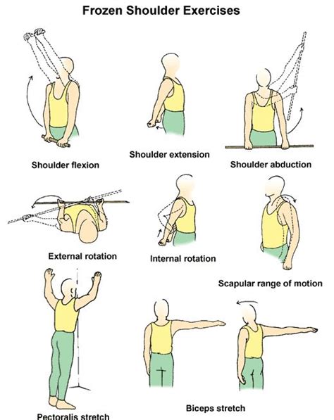 72 best images about exercise for rehab of broken clavicle on Pinterest ...