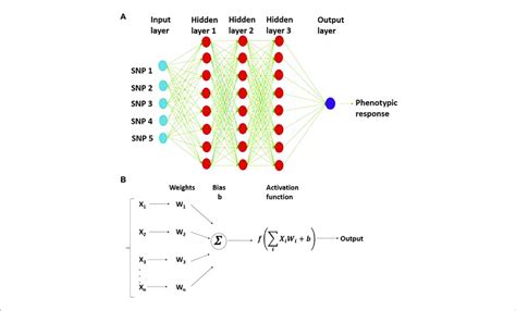 | Representation of multilayer perceptron (MLP) with three hidden ...